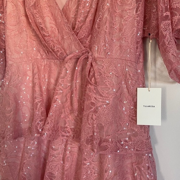 NWT TULAROSA Autumn Dress Lace Sequin Dusty Rose L - Picture 11 of 13
